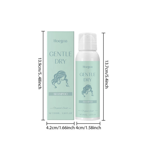 Hoegoa No Rinse Hair Dry Shampoo Spray Oil Control Volumizing Refreshing Fluffy Root Lifting Fresh Scent Hair Dry Shampoo Mist