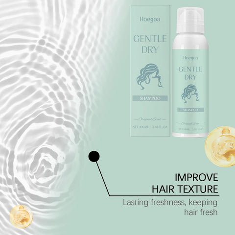 Hoegoa No Rinse Hair Dry Shampoo Spray Oil Control Volumizing Refreshing Fluffy Root Lifting Fresh Scent Hair Dry Shampoo Mist