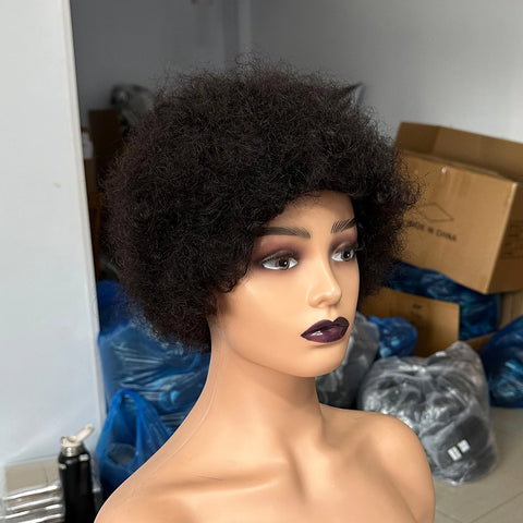 Afro kinky Curly Human Hair Wigs For Black Women Brazilian Hair Natural Black Full Machine Pixie Cut Fluffy Wig