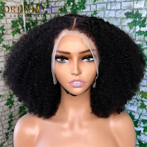 Soft 180 Density Long 26 inch Black Kinky Curly Preplucked Long Hair Wig For Women Natural Hairline Wig With Afro Baby Hair