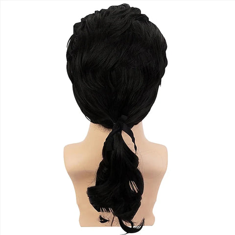 HAIRJOY Synthetic Hair Colonial Cosplay Wig for Lawyer Grey Wigs Long Curly Wavy Wigs for Men