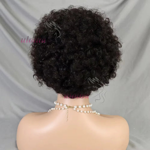 13x4 Lace Frontal Short Afro Kinky Curly Bob Braided Hair Wig 8 Inch Black Human Hair Wigs PrePlucked Bouncy Curly Wig for Women