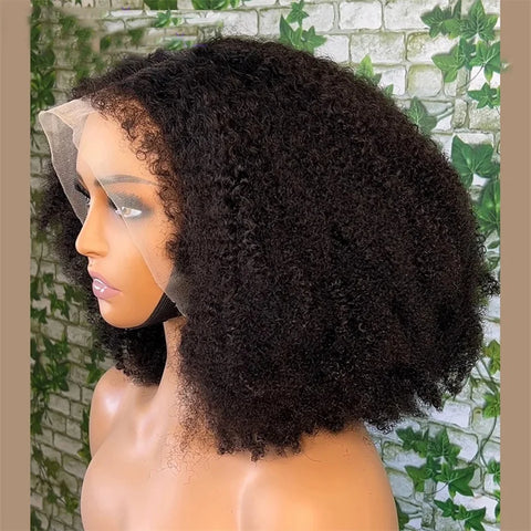 Soft 180 Density Long 26 inch Black Kinky Curly Preplucked Long Hair Wig For Women Natural Hairline Wig With Afro Baby Hair