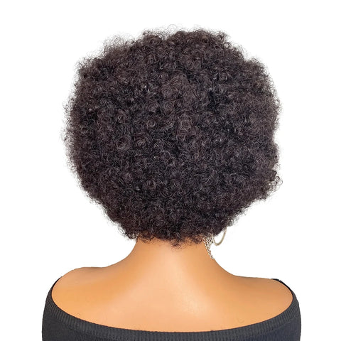 13x4 Lace Frontal Natural Black Afro Curly Human Hair with Braids for Black Women 6 Inches 100% Remy Hair Brazilian Hair Wig