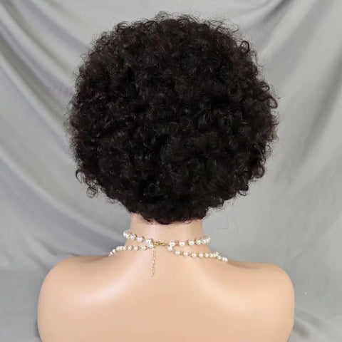 13x4 Lace Front Afro Short Curly Wig Human Hair Precolored Front Braided Afro Curly Human Hair Wig Brazilian Bouncy Curly Hair