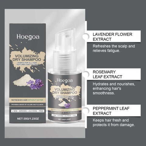 Volumizing Dry Shampoo Spray For Oily Hair Instant Oil Absorbing Odor Control Lightweight Shine Volume Boost Fresh All Day