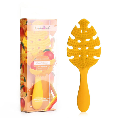 Hair Detangler Brush With Scented Detangling brush Soft Bristles with Ease For Curly  Black Natural Women Men Dry and Wet Hair